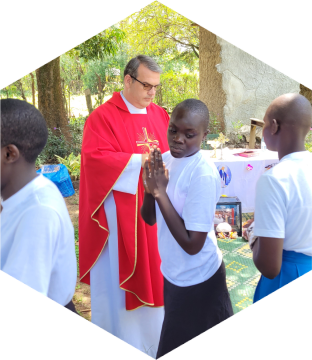 sander kjd gen m hexagon