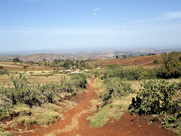 Uitzicht vanaf de helling van Mount Elgon in de regio Kitale in Kenia