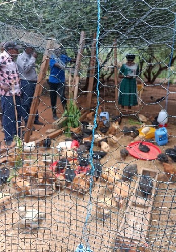 Tanzania uitleg over biologische landbouw bij het centrum voor biologische landbouw